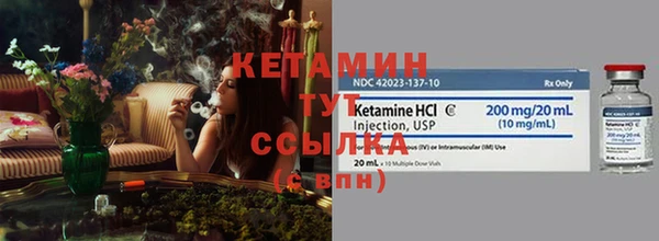 спиды Дмитриев