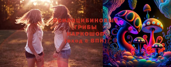 ешки Ельня