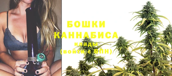 спиды Дмитриев