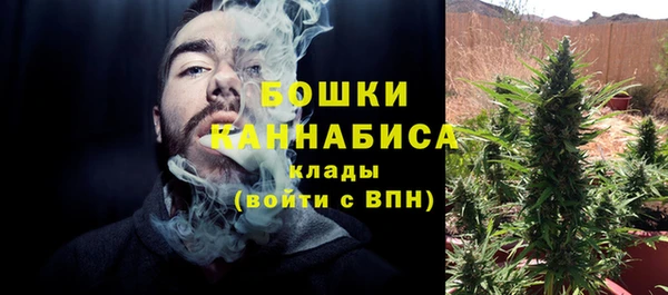 спиды Дмитриев