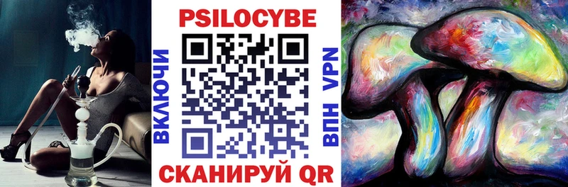 Купить где  Советск  Псилоцибиновые грибы мухоморы 